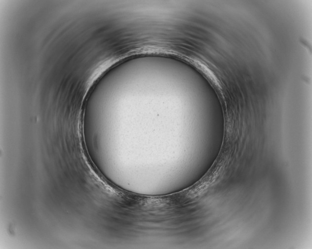 X0000096980847200802221432