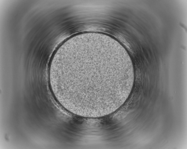 X0000096980848200802221432