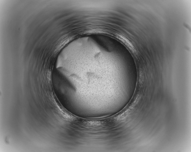 X0000096980849200802221432