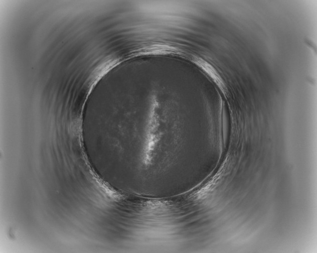 X0000096980850200802221432