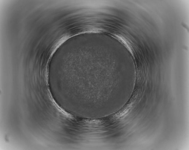 X0000096980851200802221432