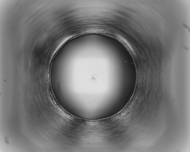 X0000096980852200802221433