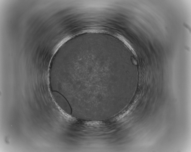 X0000096980853200802221433