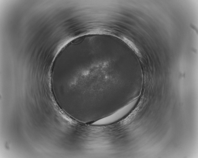 X0000096980854200802221433