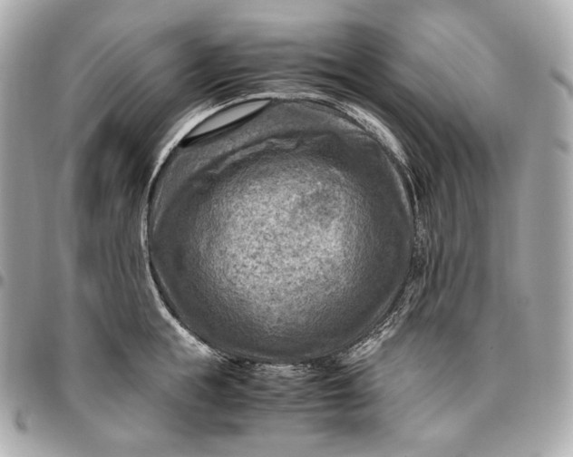 X0000096980855200802221433