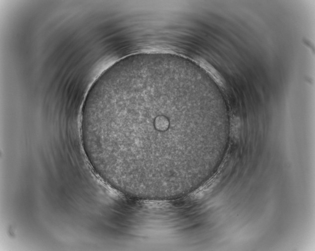 X0000096980856200802221433