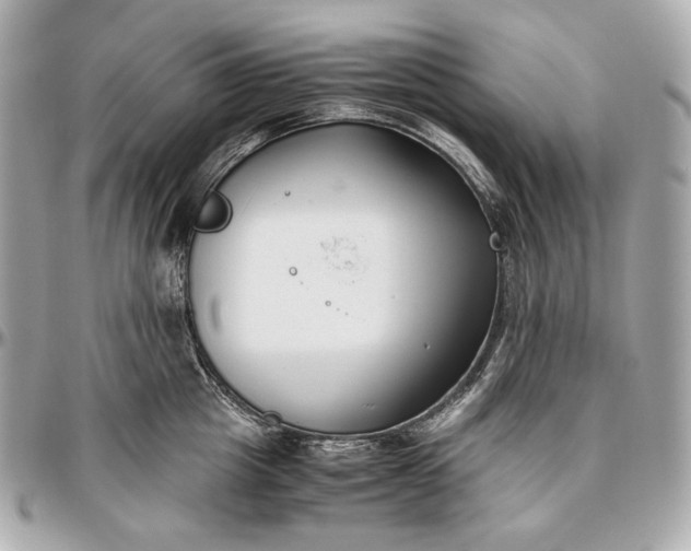 X0000096980857200802221433