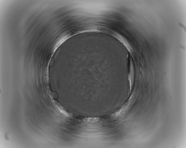 X0000096980858200802221433