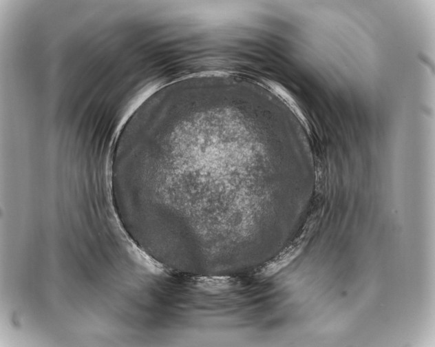 X0000096980859200802221433