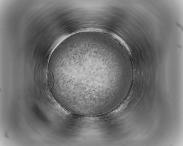 X0000096980860200802221433