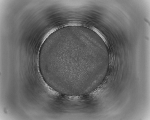 X0000096980861200802221433