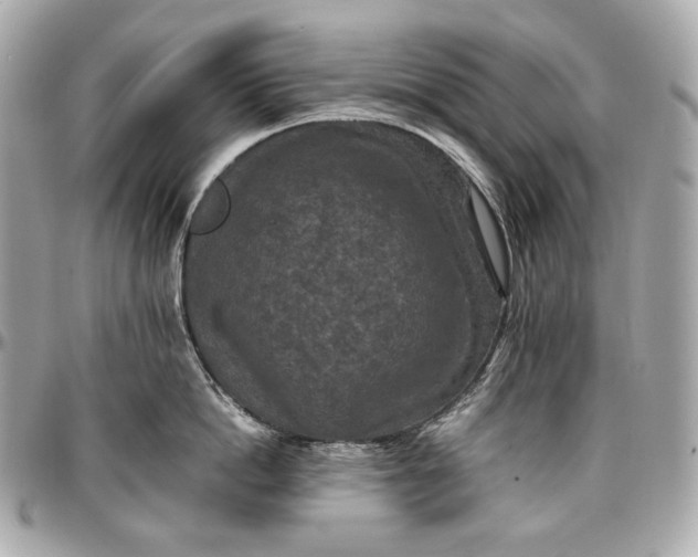 X0000096980862200802221433