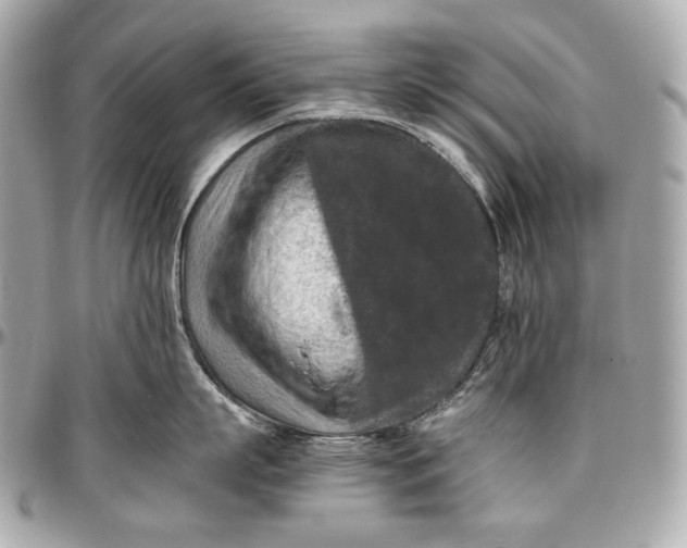 X0000096980863200802221433