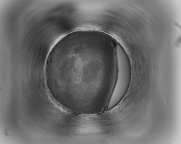 X0000096980864200802221433