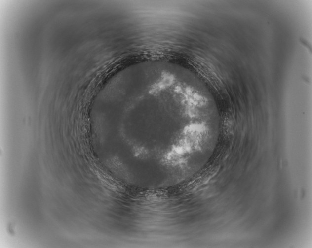 X0000096980865200802221432