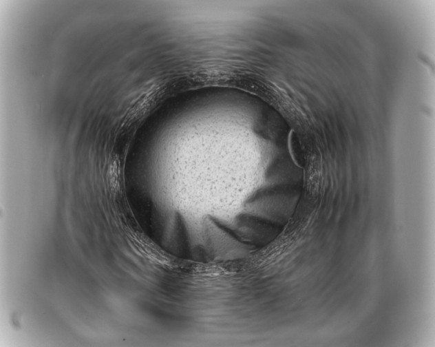 X0000096980866200802221432