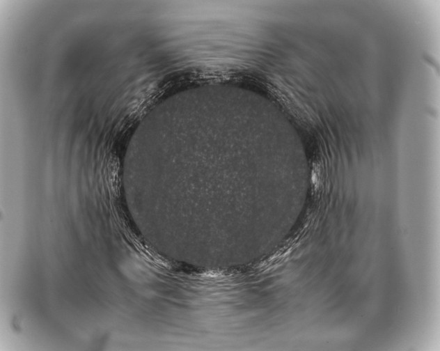 X0000096980867200802221432