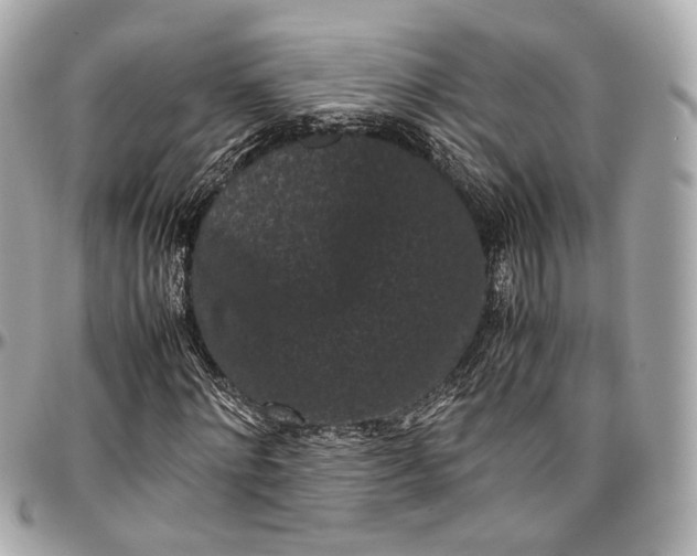 X0000096980868200802221432