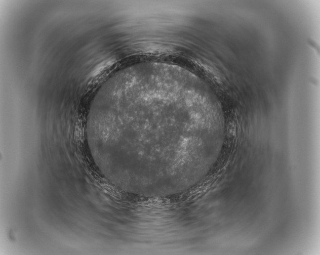 X0000096980869200802221432