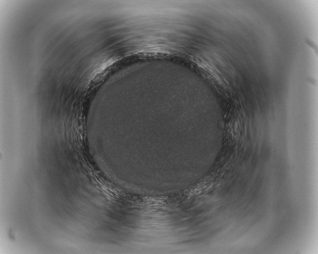 X0000096980870200802221432