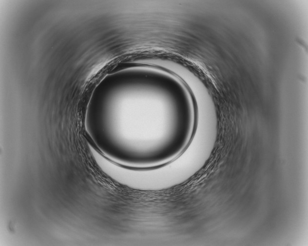 X0000096980871200802221432