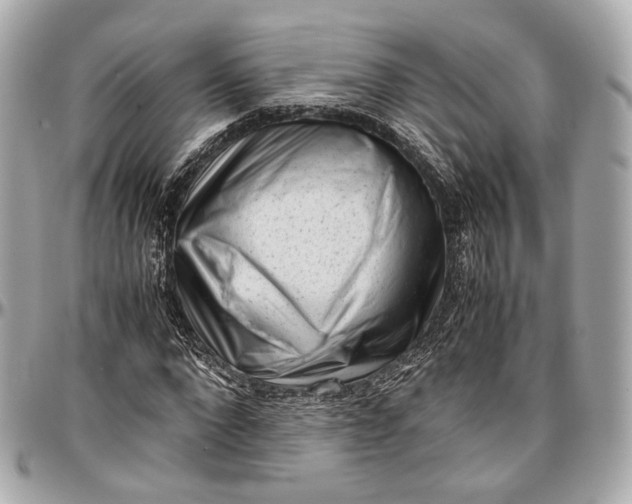 X0000096980872200802221432