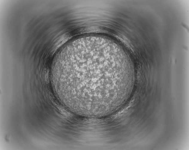 X0000096980873200802221432