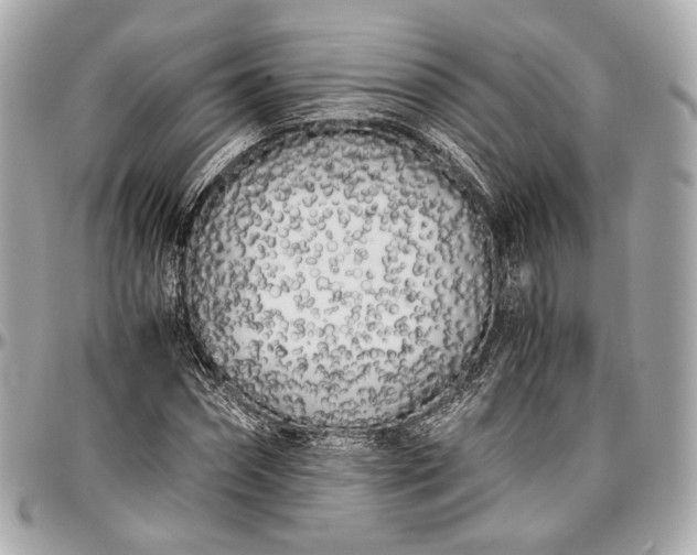 X0000096980874200802221432