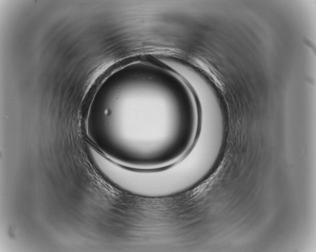 X0000096980875200802221432