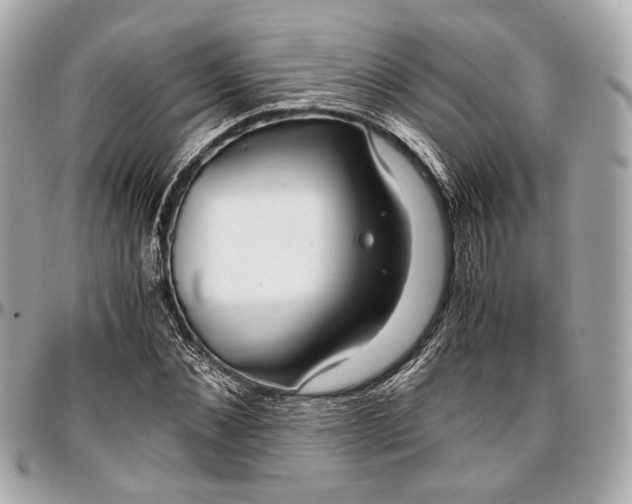 X0000096980876200802221432