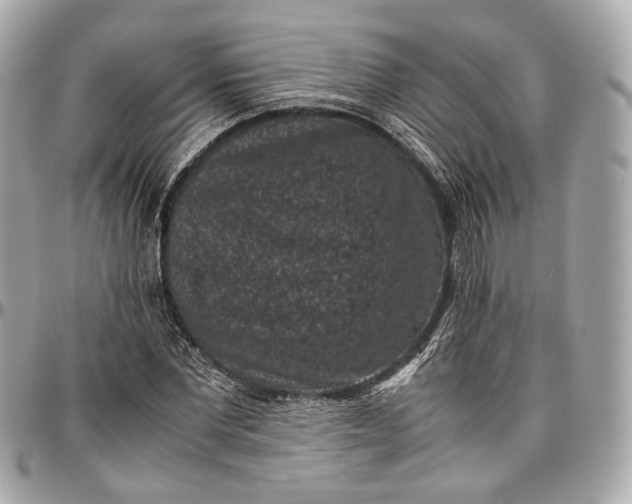 X0000096980877200802221432