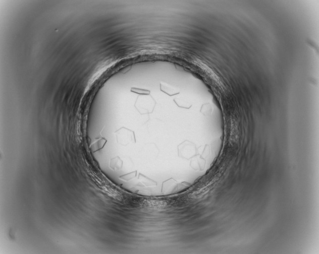 X0000096980878200802221432