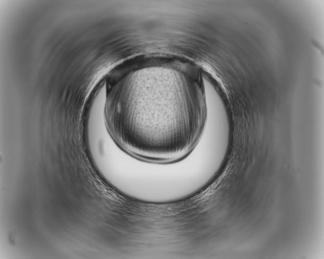 X0000096980879200802221432