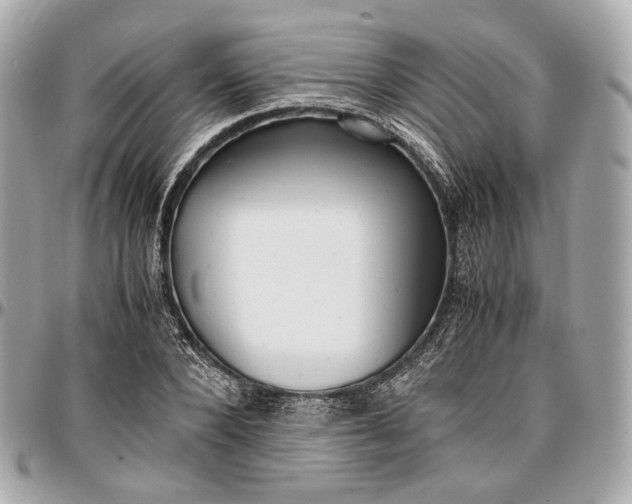 X0000096980880200802221432