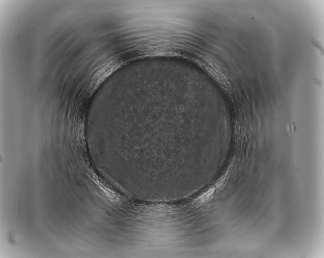 X0000096980881200802221432