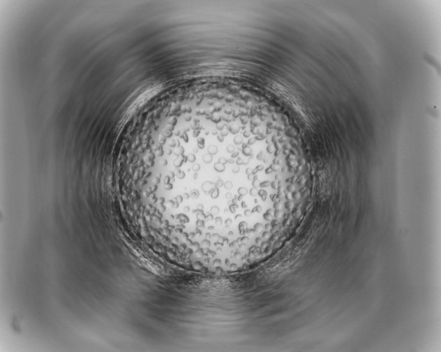 X0000096980882200802221432