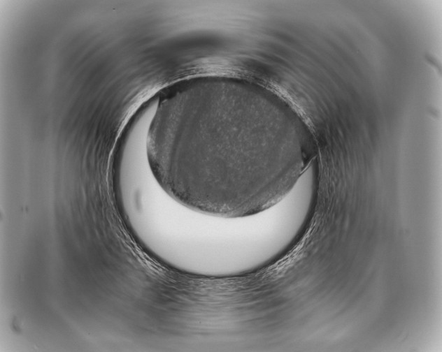 X0000096980883200802221432