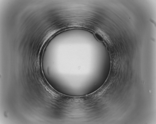 X0000096980884200802221432