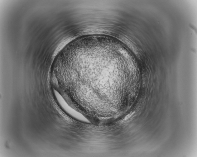 X0000096980885200802221432