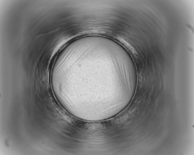 X0000096980886200802221432