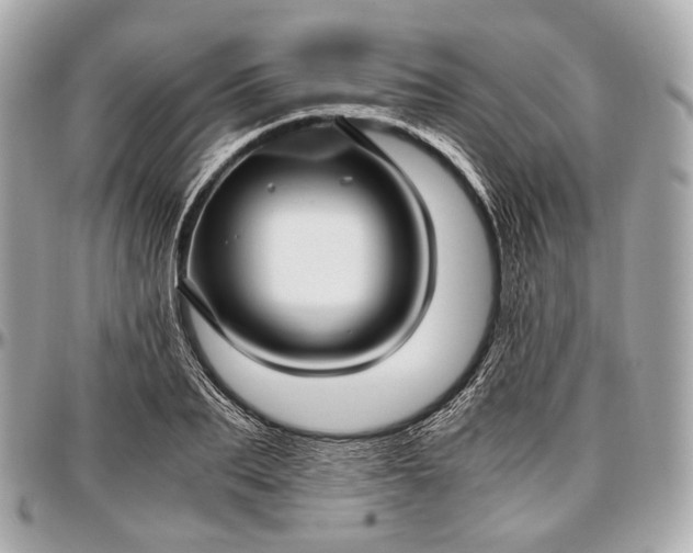 X0000096980887200802221432