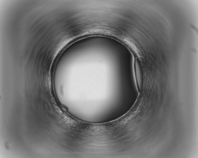 X0000096980888200802221432