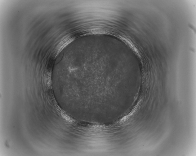 X0000096980889200802221432