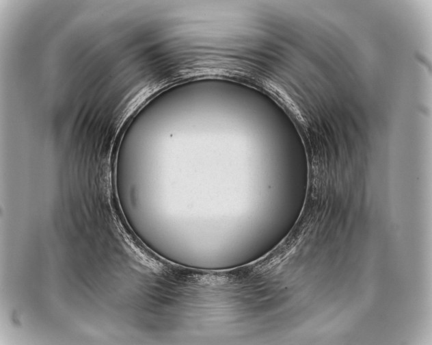 X0000096980890200802221432