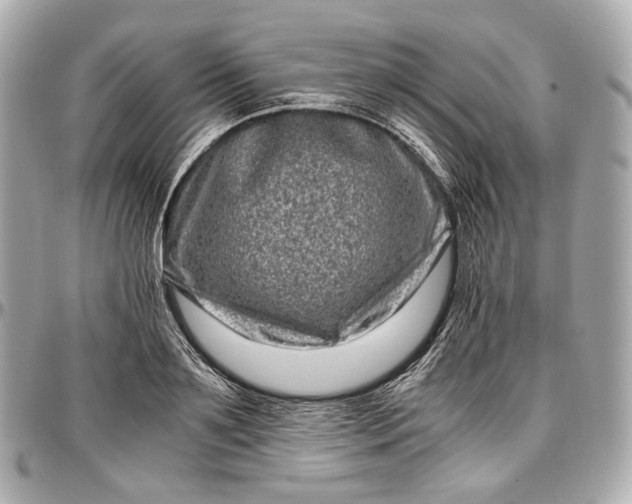 X0000096980891200802221431