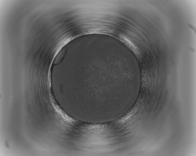 X0000096980892200802221431