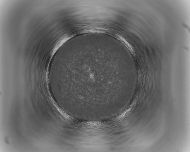 X0000096980893200802221431