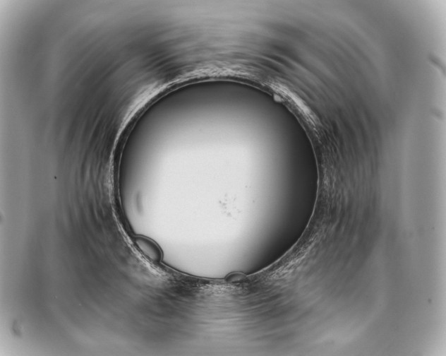 X0000096980894200802221431