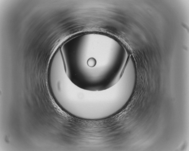 X0000096980895200802221431