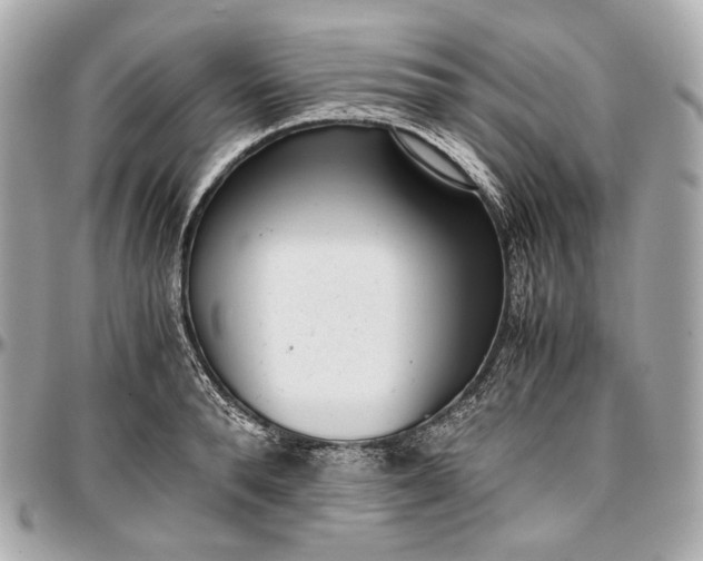 X0000096980896200802221431